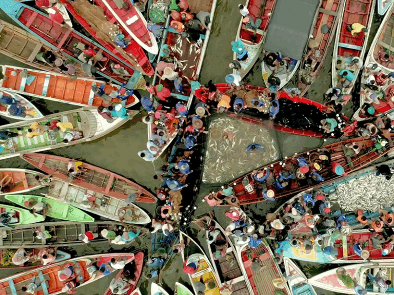 Giros Filmes: Produtora participará da Mostra SP 2025 com filmes inéditos no circuito comercial